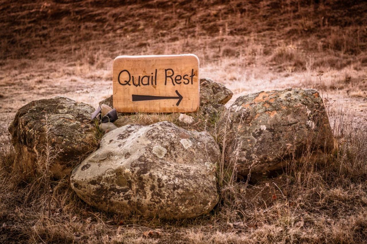 Villa Quail Rest à Twizel Extérieur photo